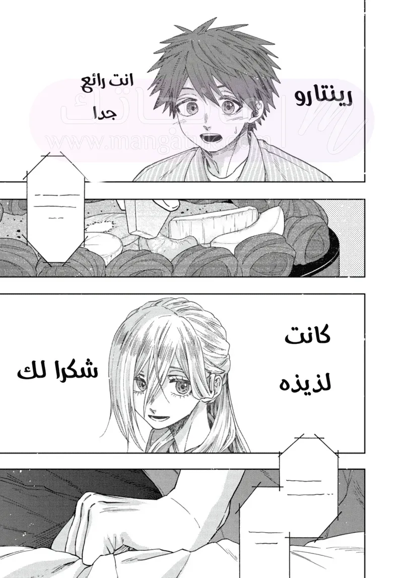 الصفحة 13