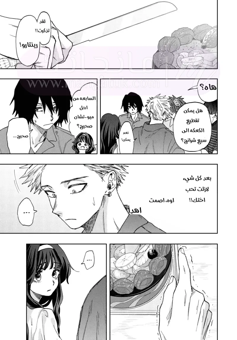 الصفحة 17