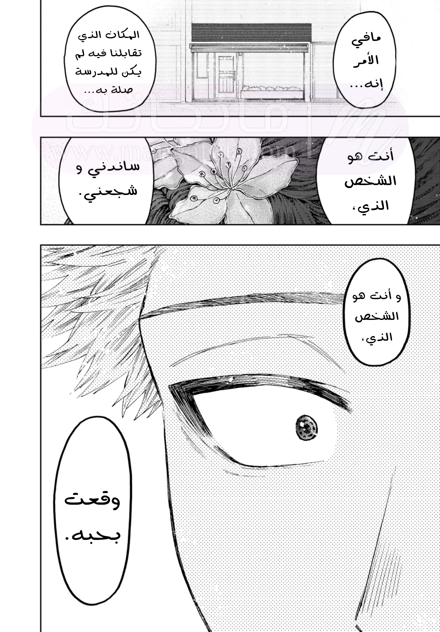 الصفحة 17