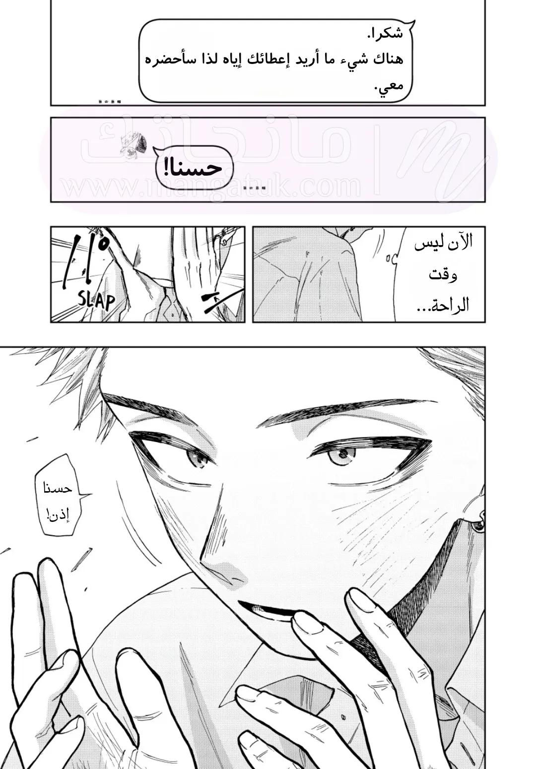 الصفحة 17