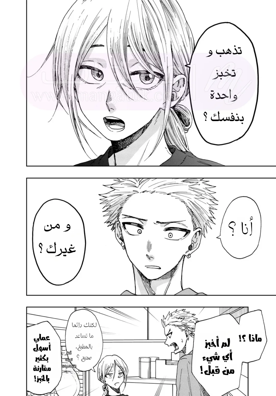 الصفحة 13