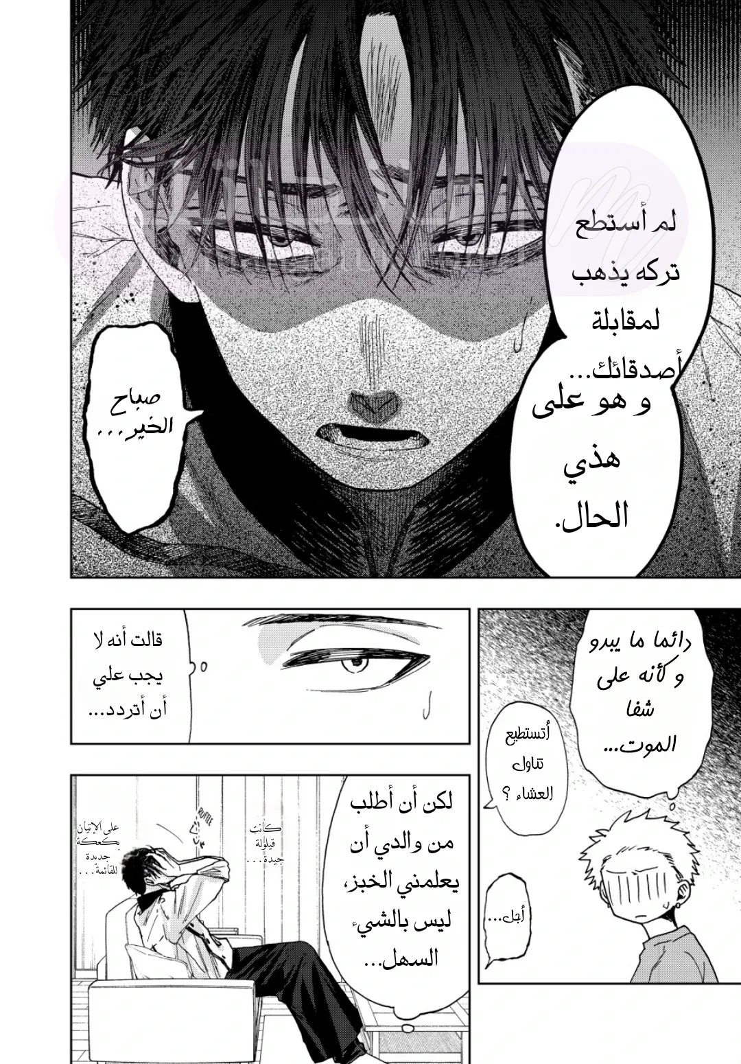 الصفحة 17