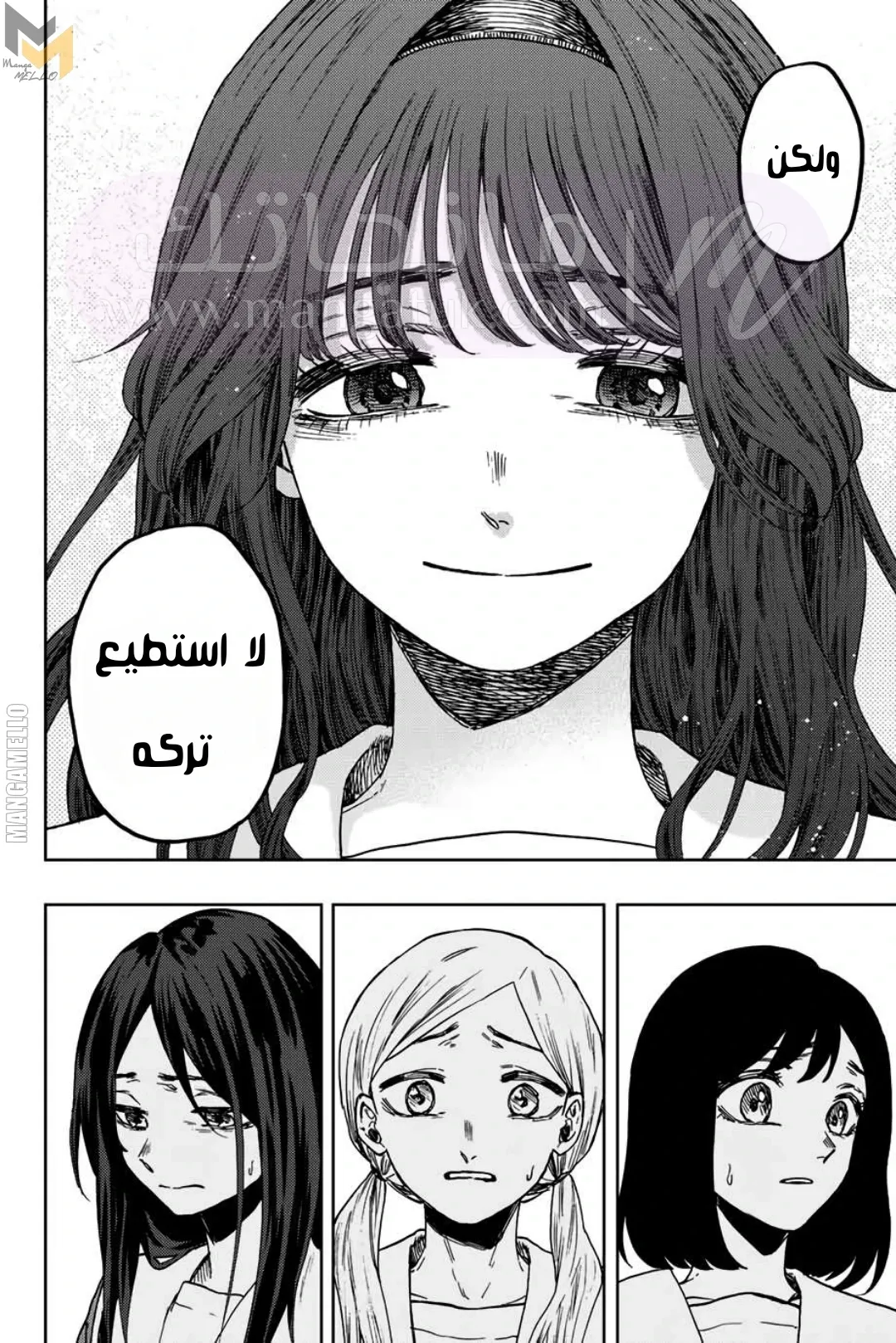 الصفحة 17