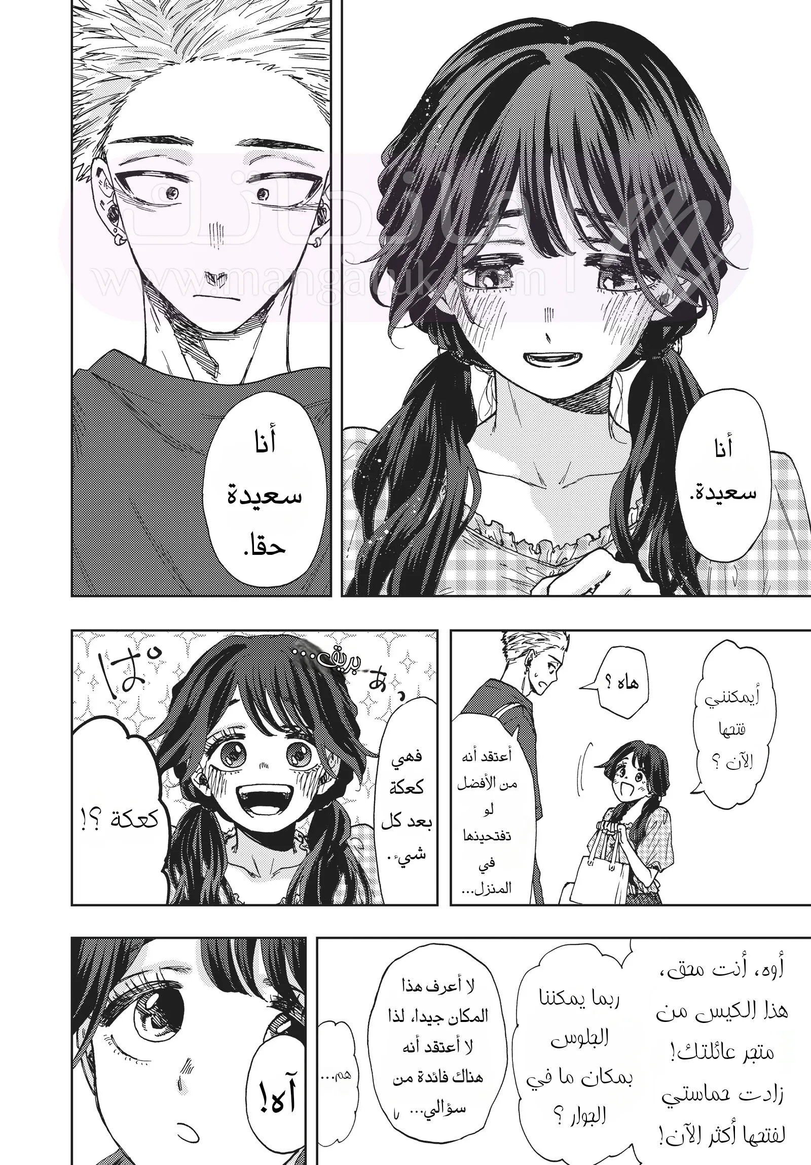 الصفحة 13