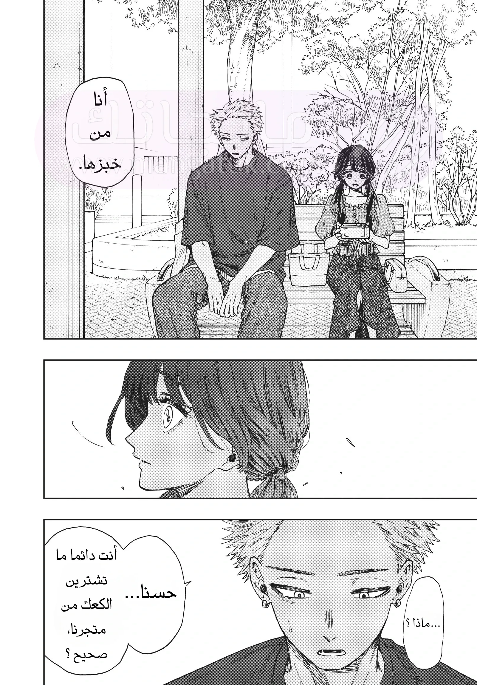 الصفحة 17