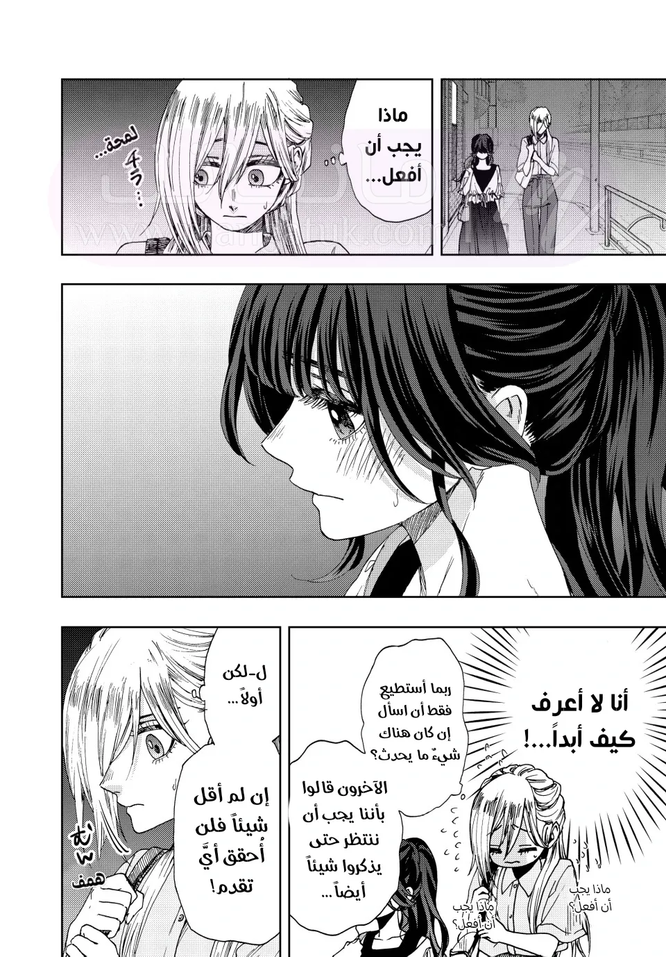 الصفحة 17