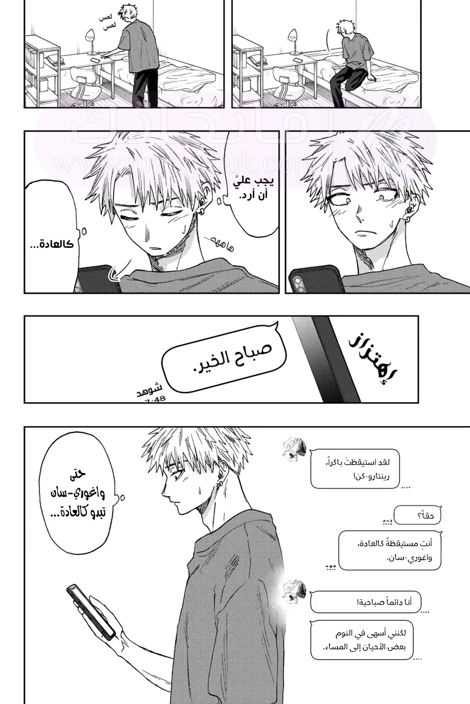 الصفحة 13