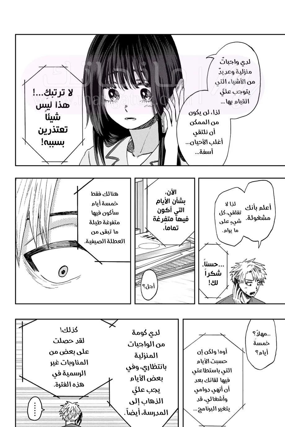 الصفحة 17