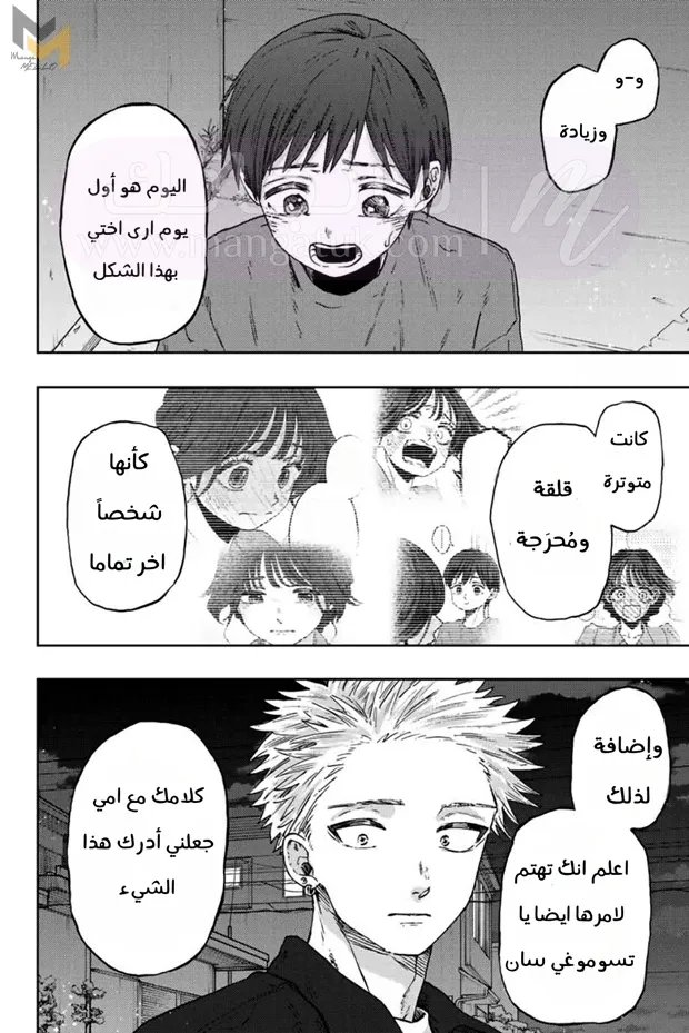 الصفحة 17