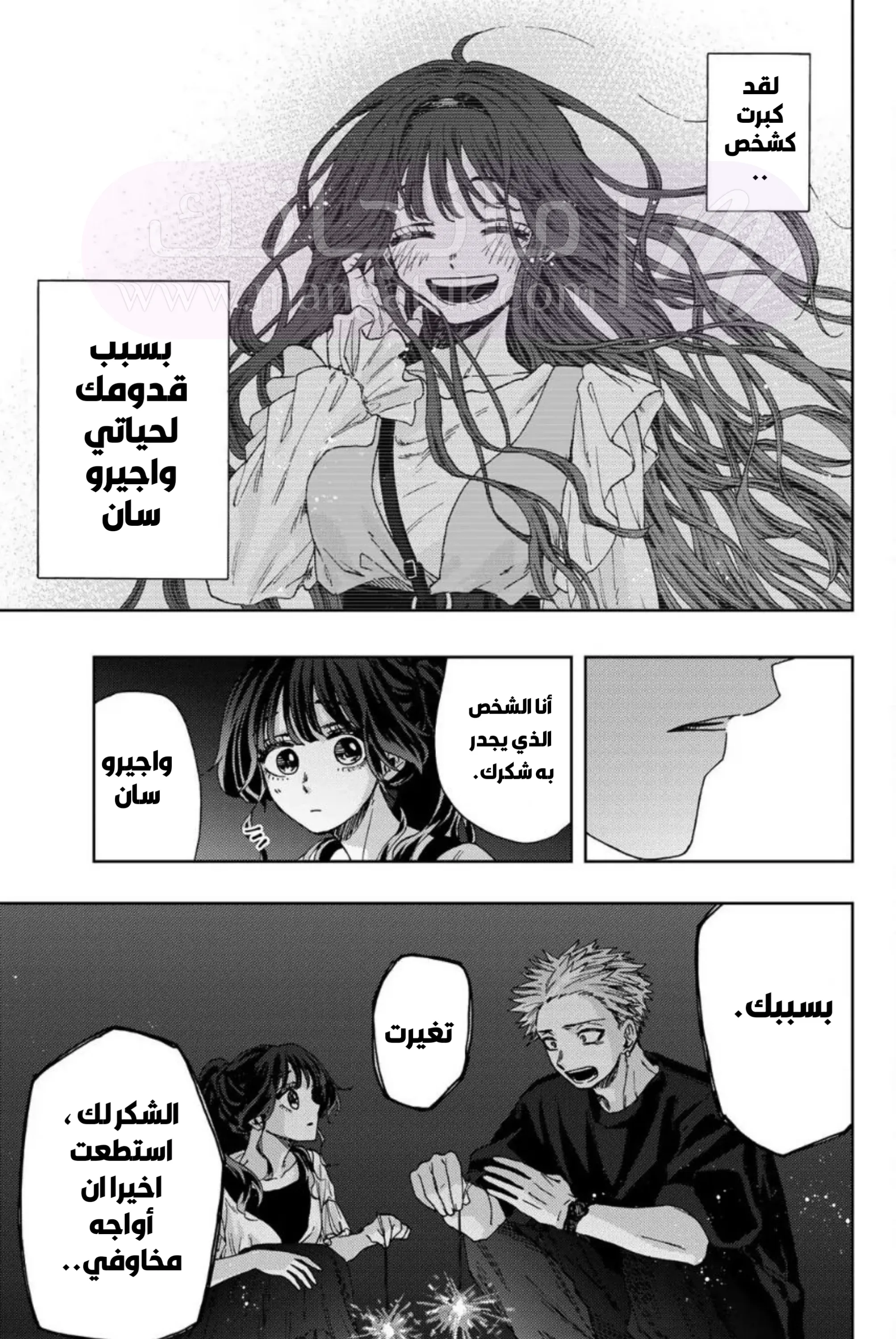 الصفحة 13