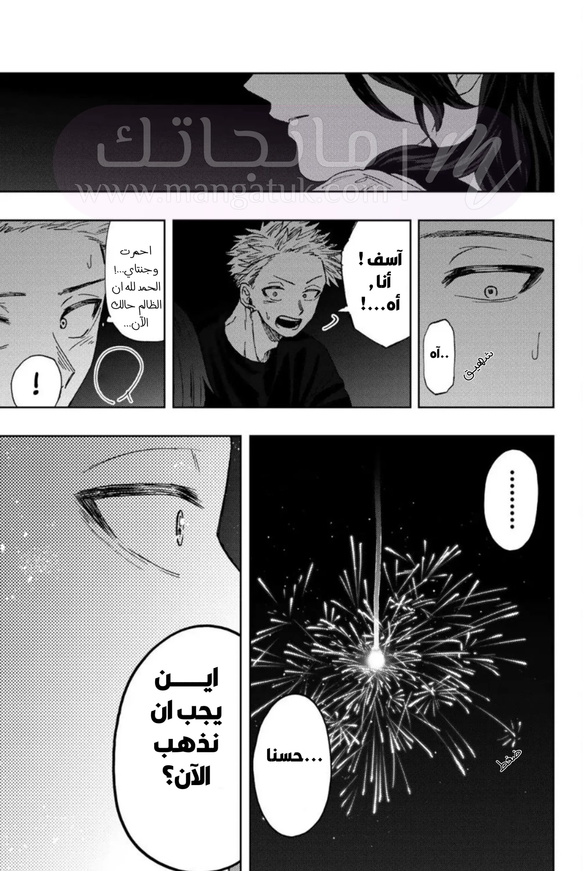 الصفحة 17