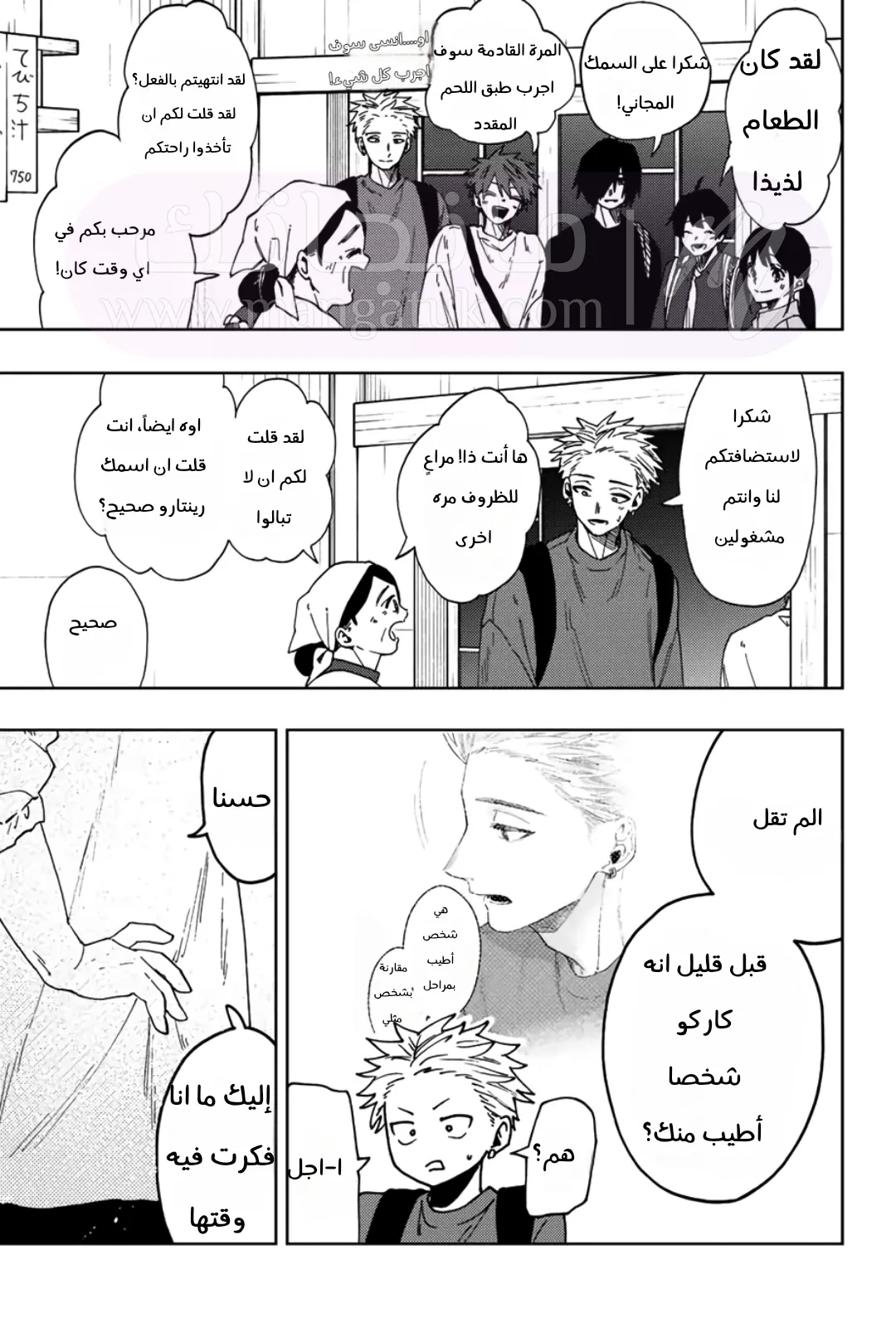 الصفحة 13