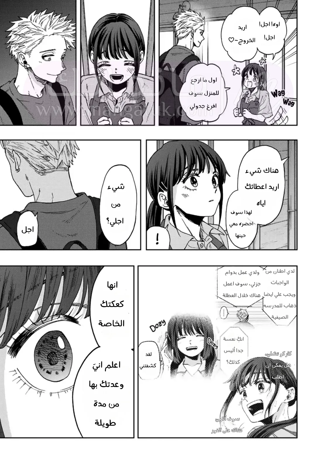 الصفحة 17
