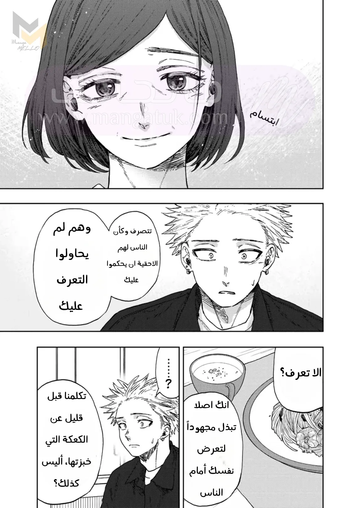 الصفحة 13
