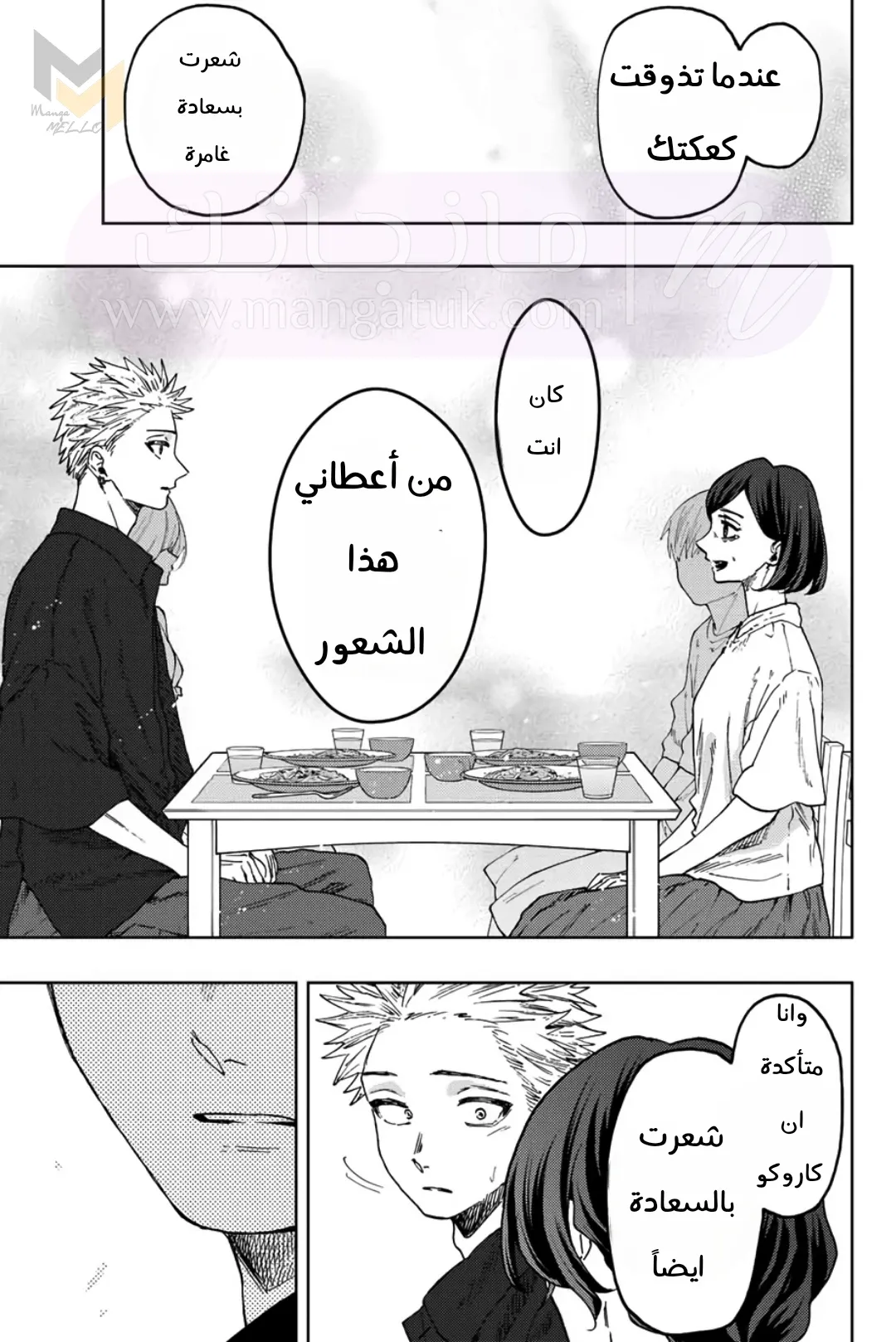 الصفحة 17