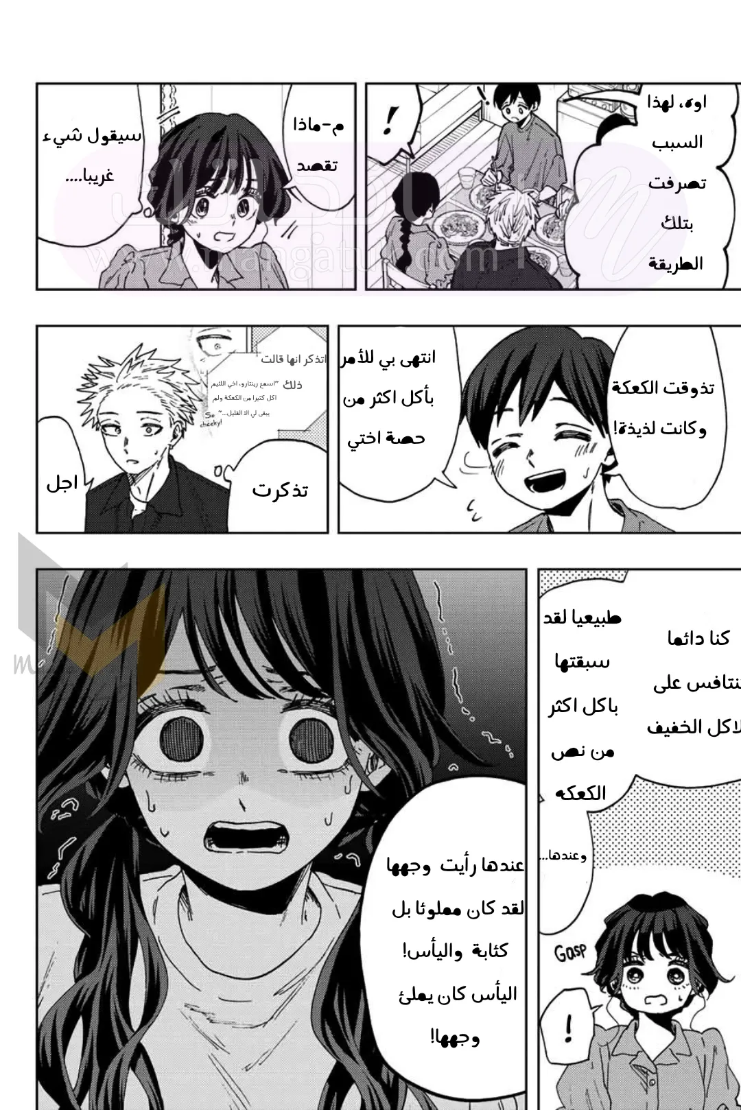 الصفحة 17