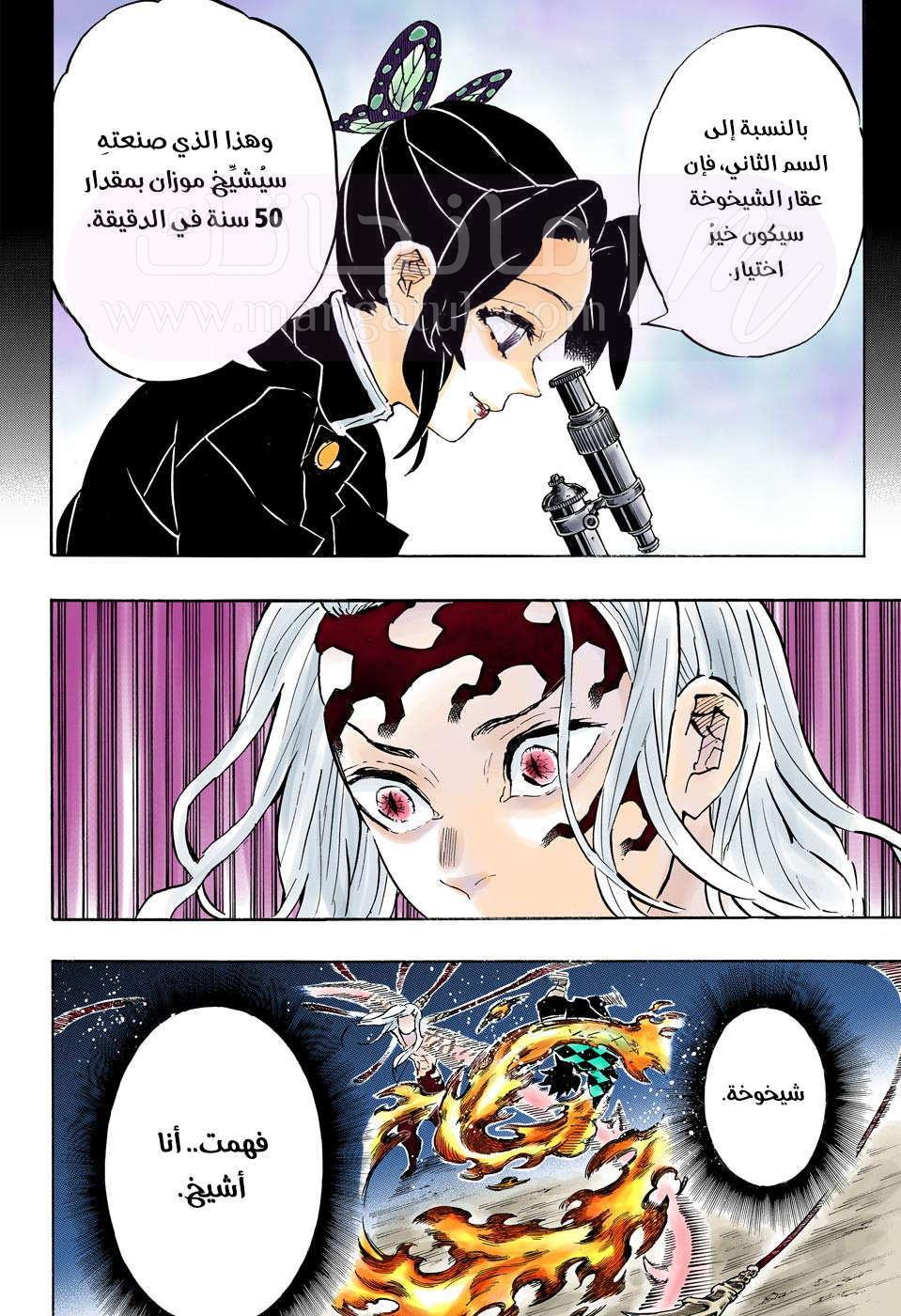 الصفحة 17