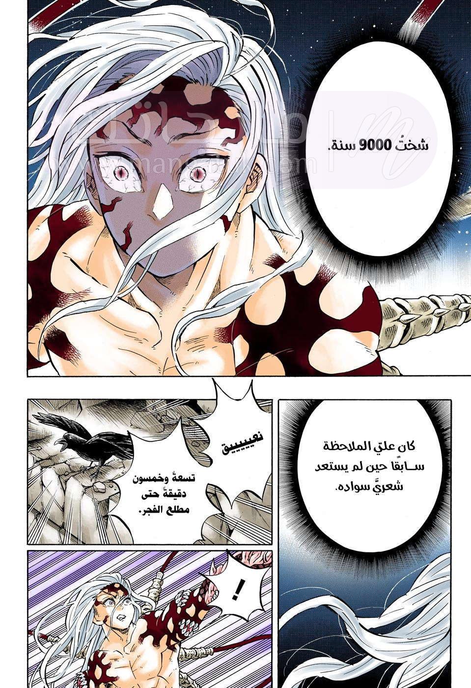 الصفحة 19