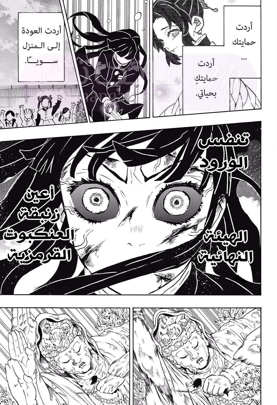 الصفحة 19