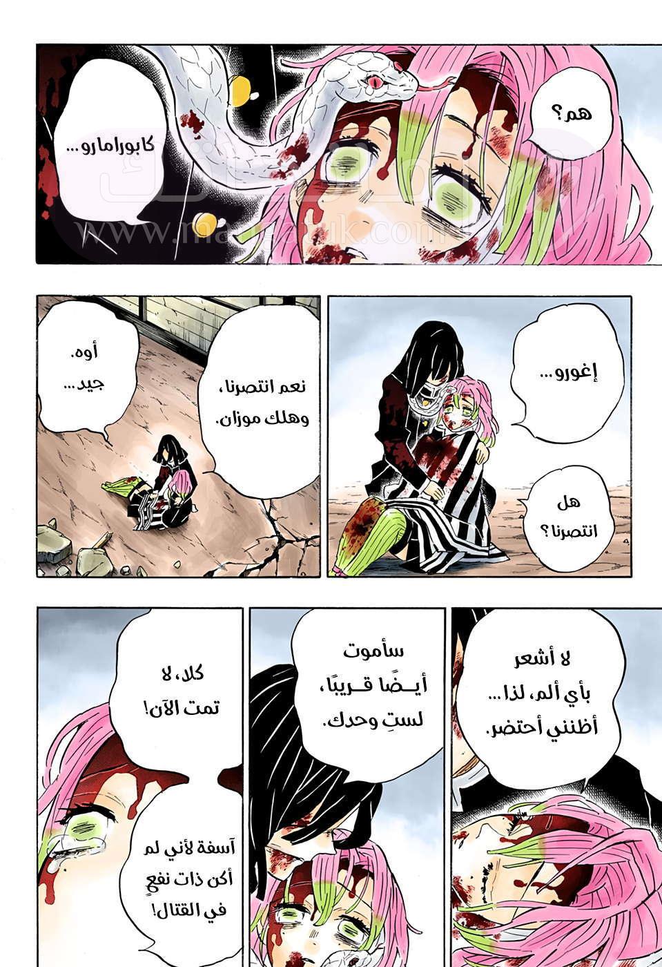 الصفحة 11