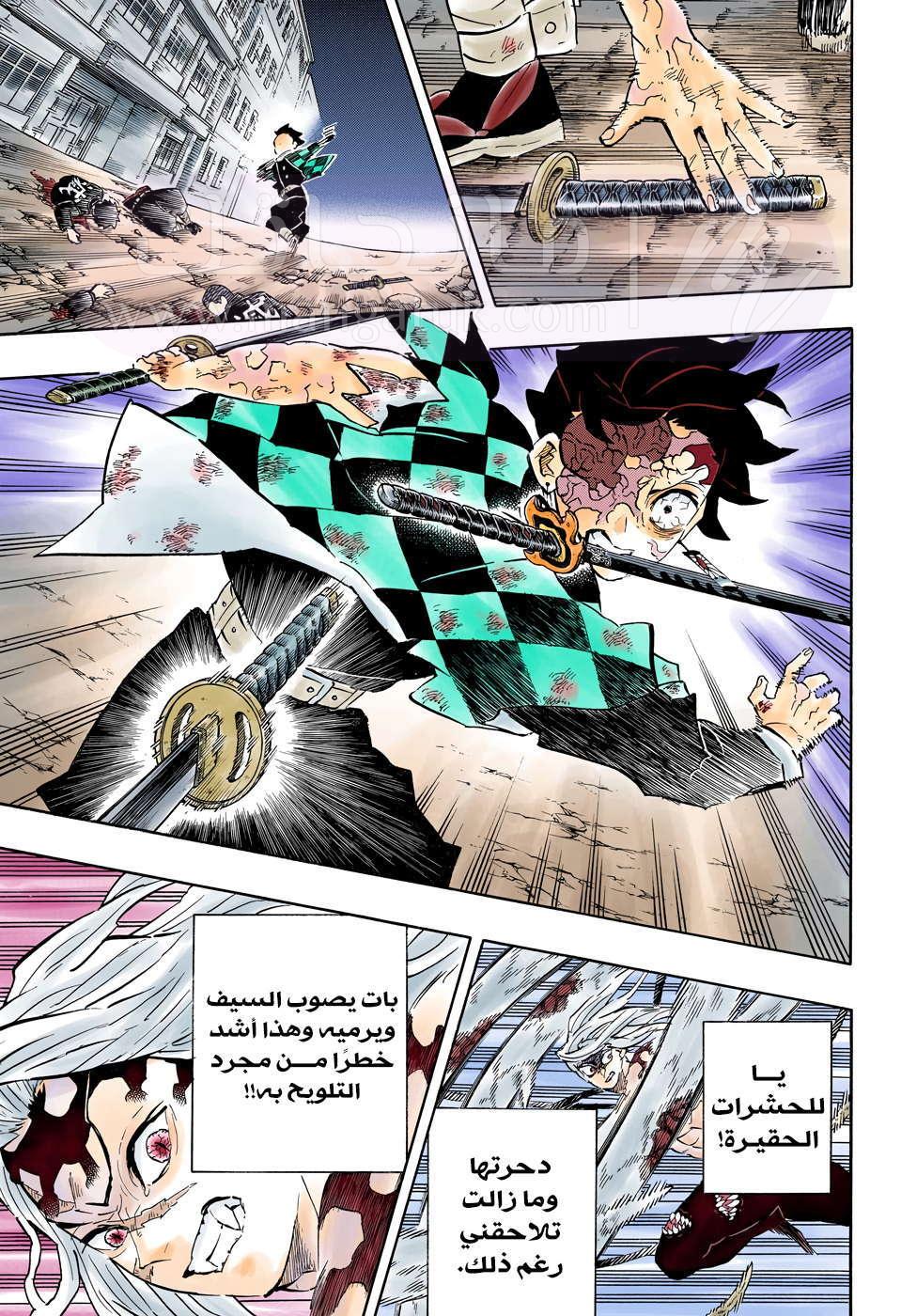الصفحة 11