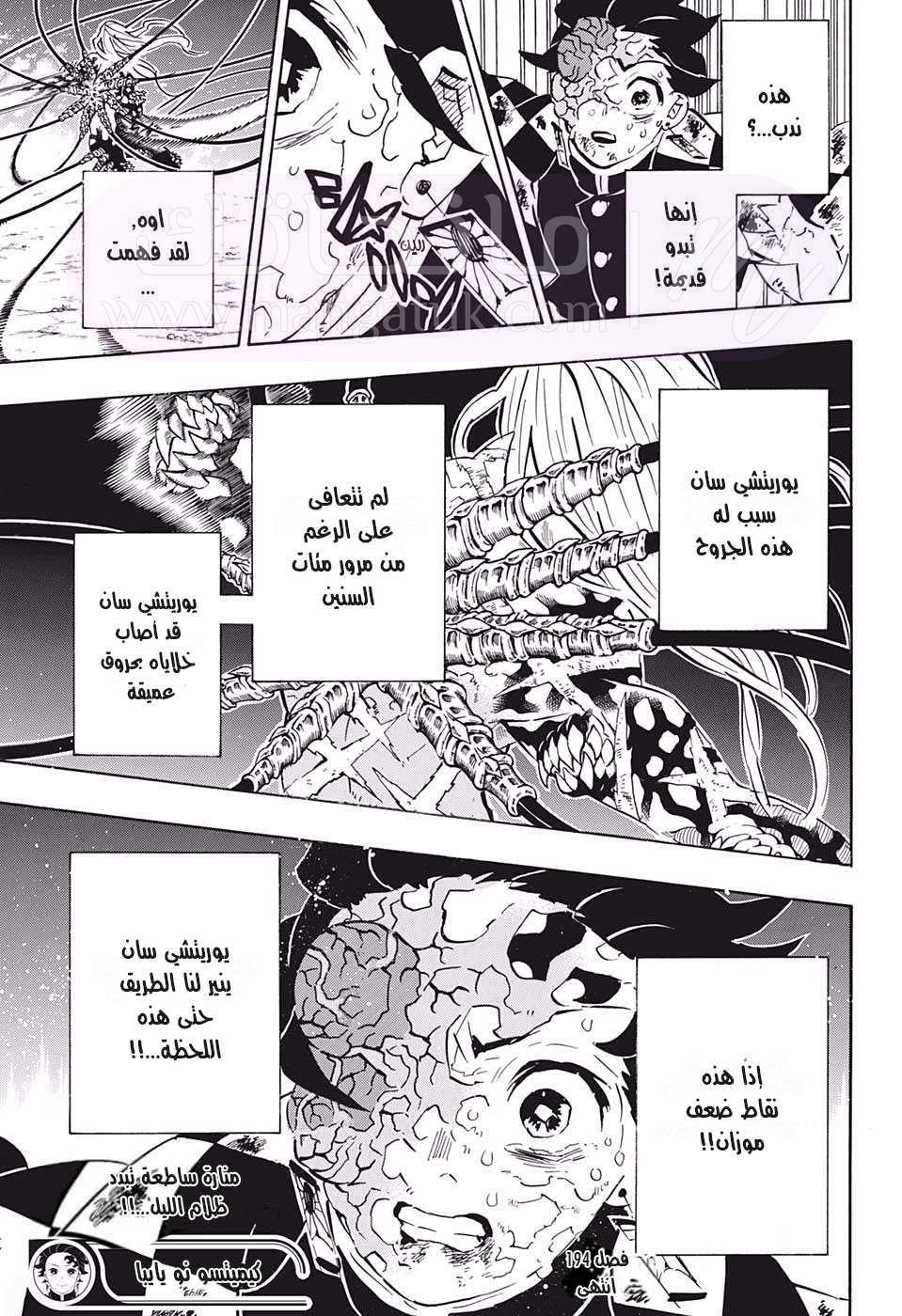 الصفحة 19