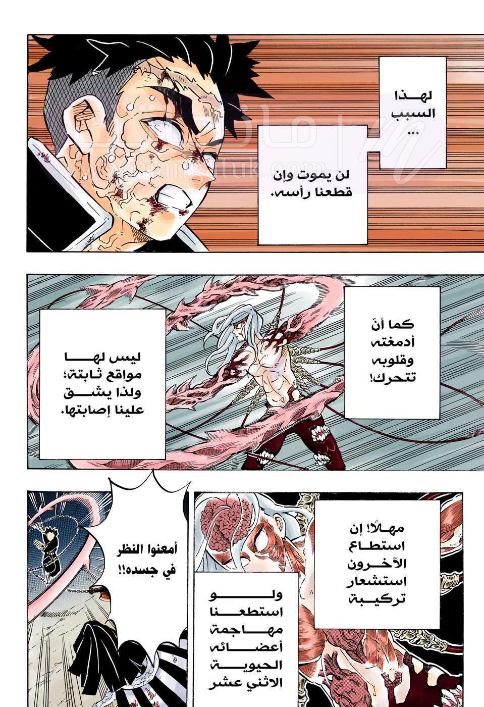 الصفحة 11