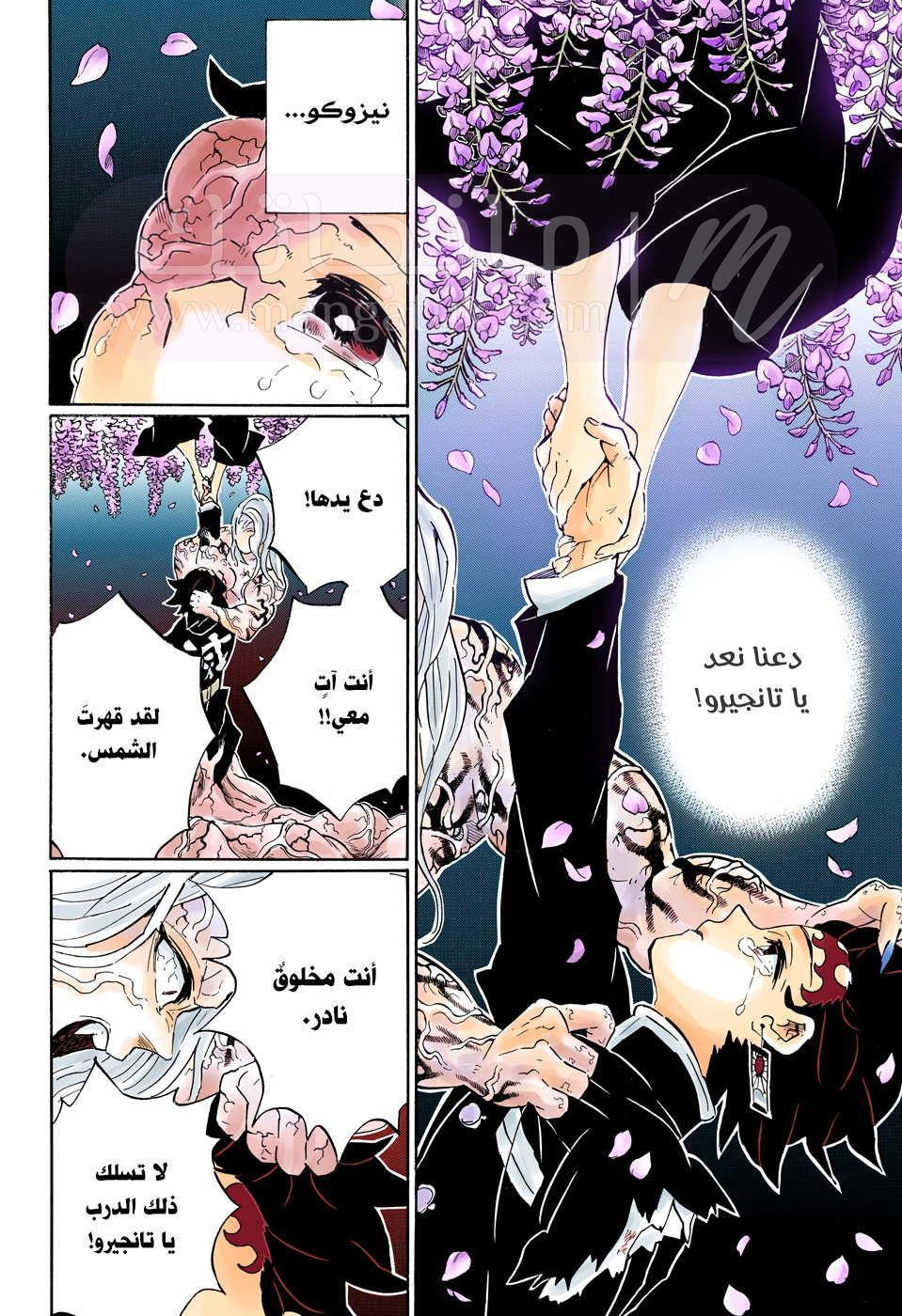 الصفحة 11