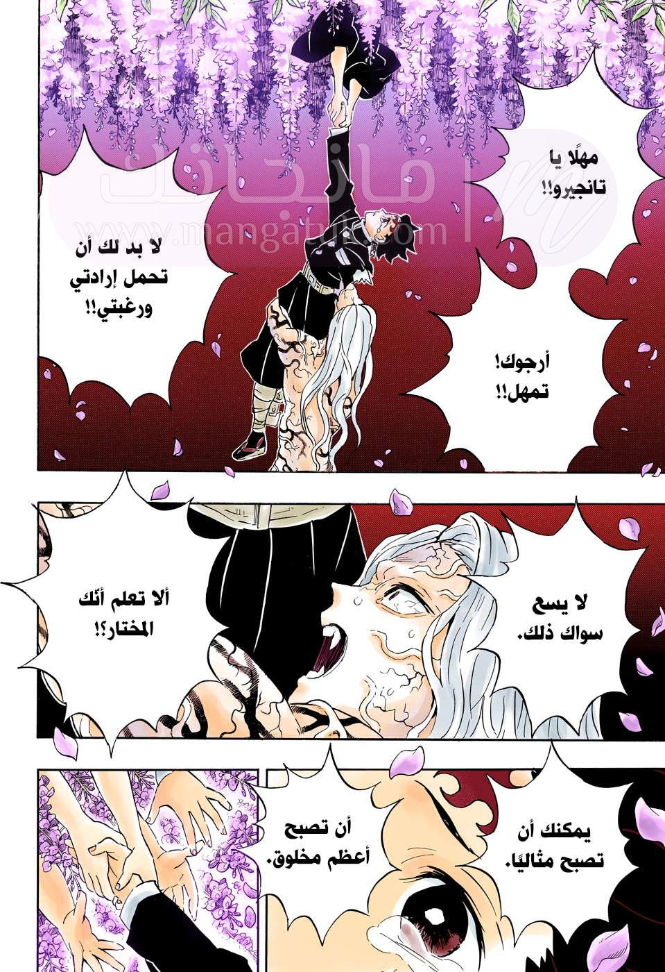 الصفحة 13