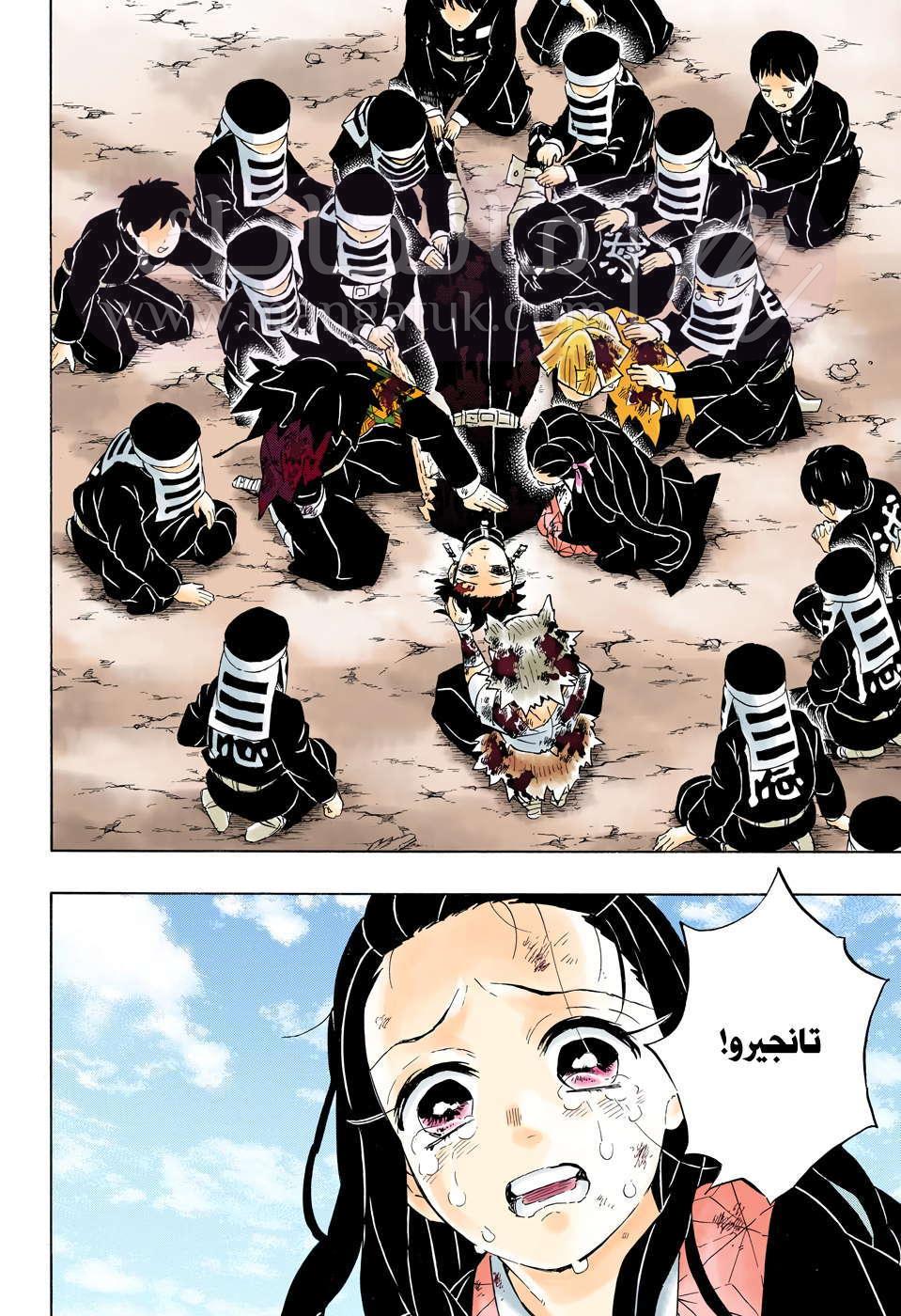 الصفحة 17