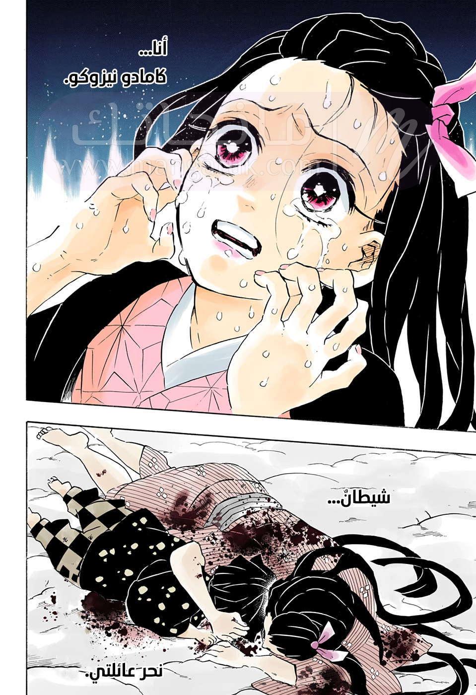 الصفحة 13