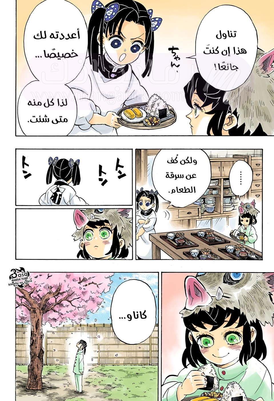 الصفحة 17