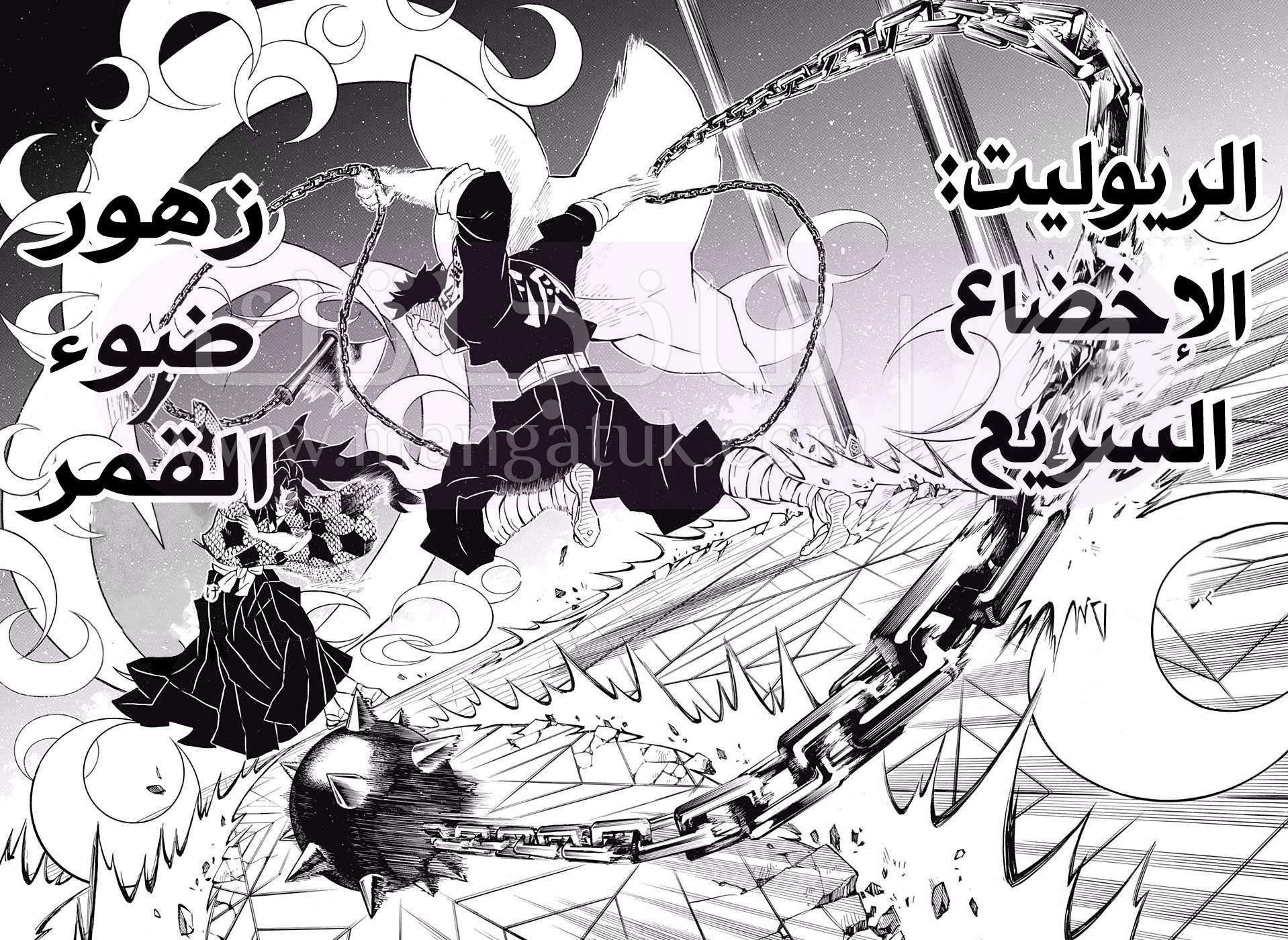 الصفحة 17
