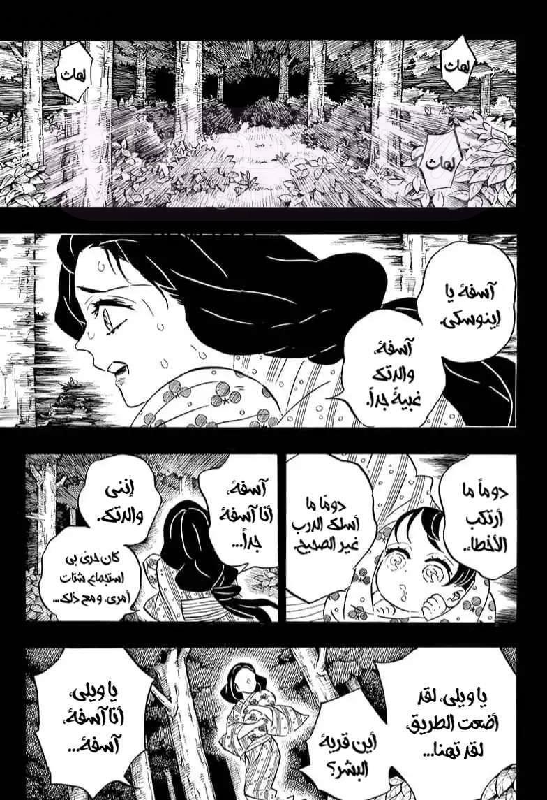 الصفحة 13