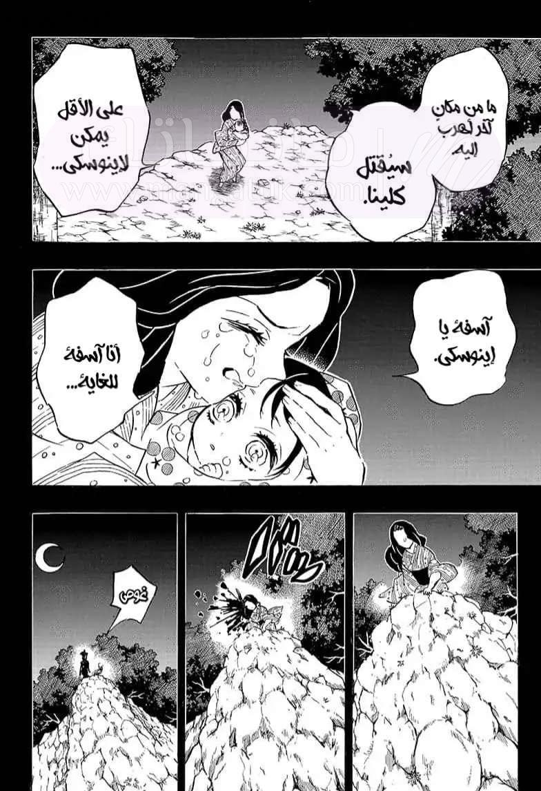 الصفحة 14