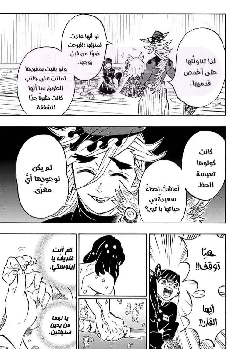 الصفحة 17