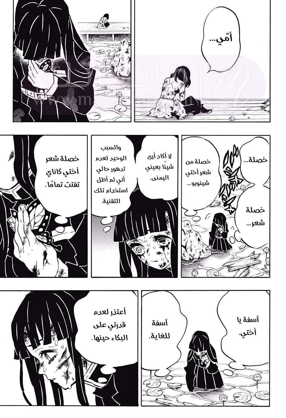 الصفحة 14
