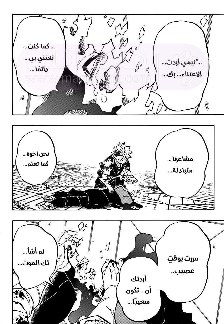 الصفحة 17