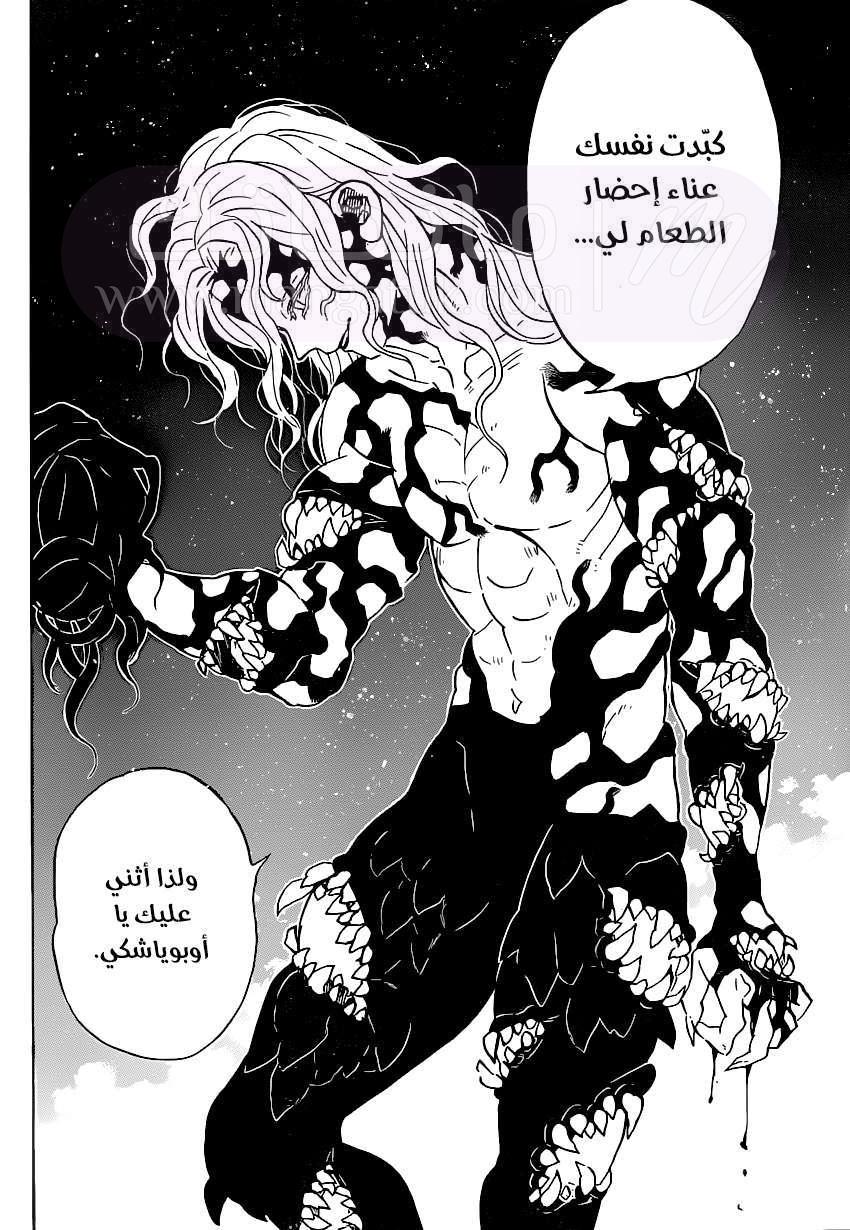 الصفحة 13