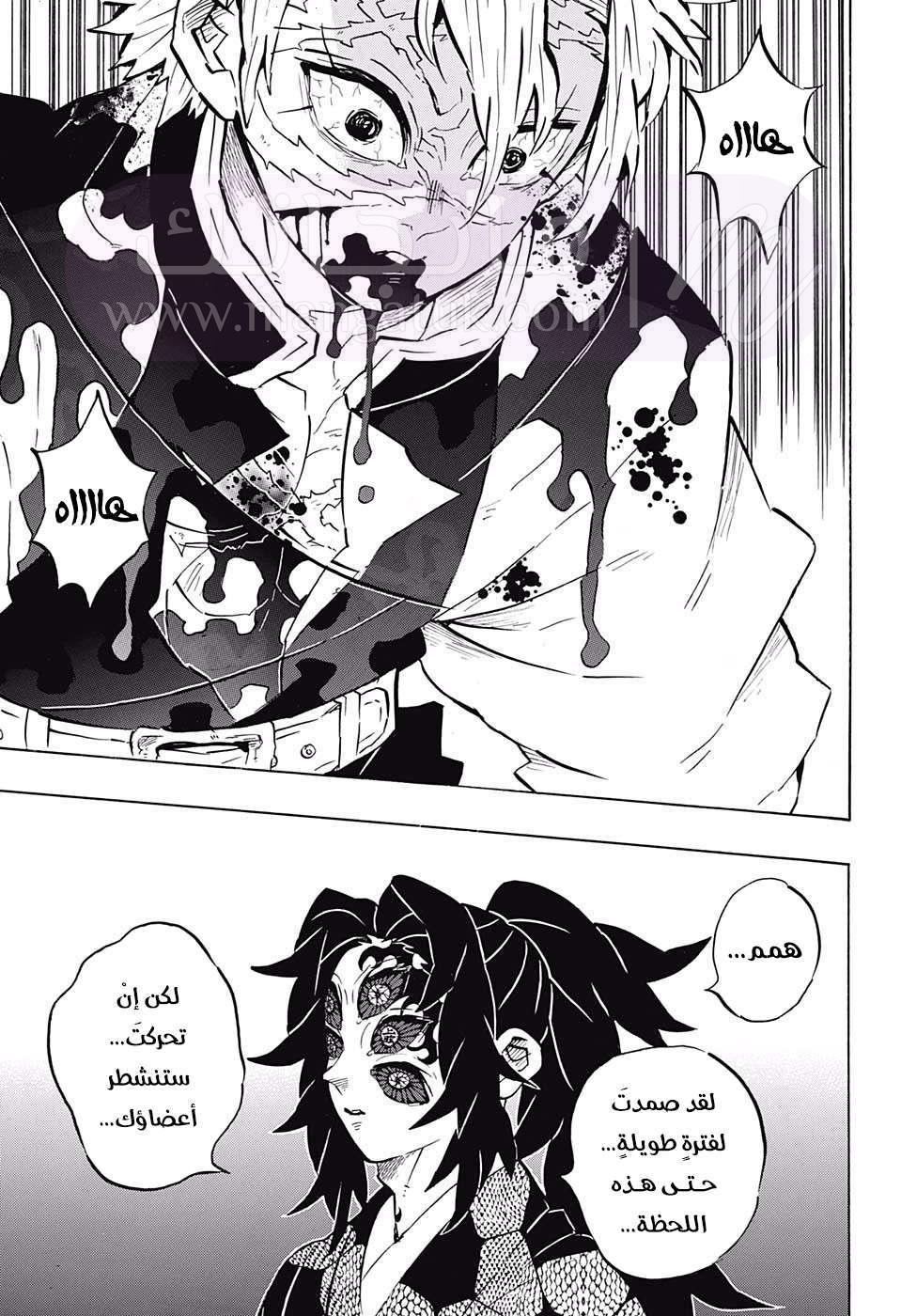الصفحة 17