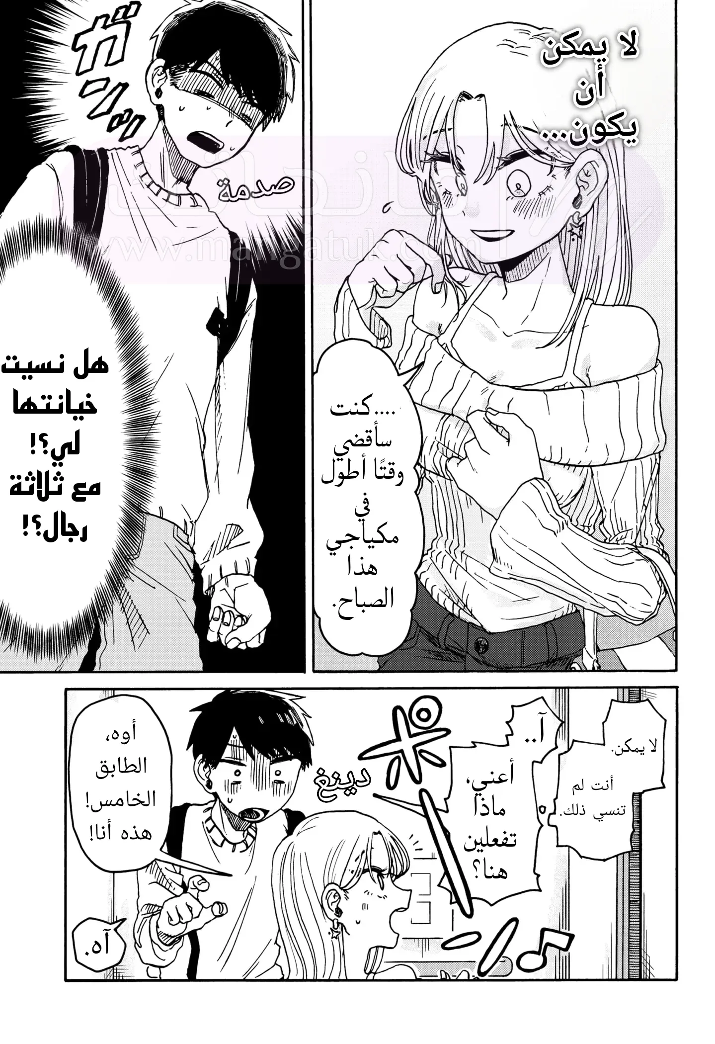 الصفحة 17