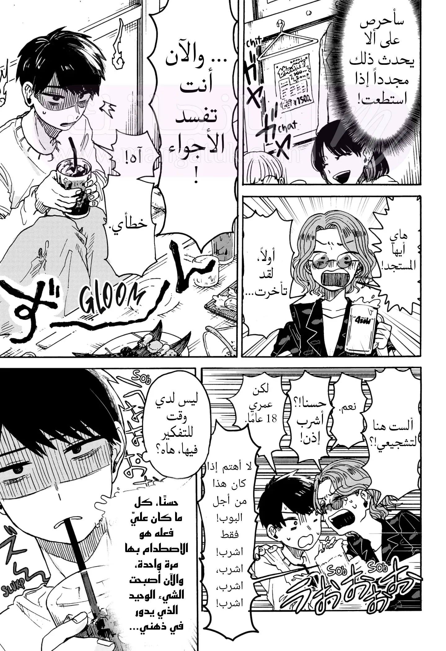 الصفحة 19