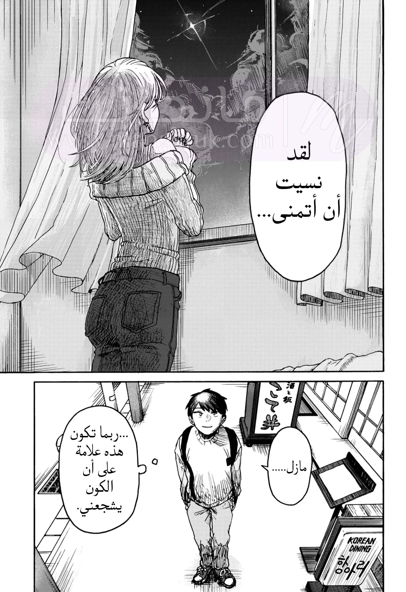 الصفحة 25