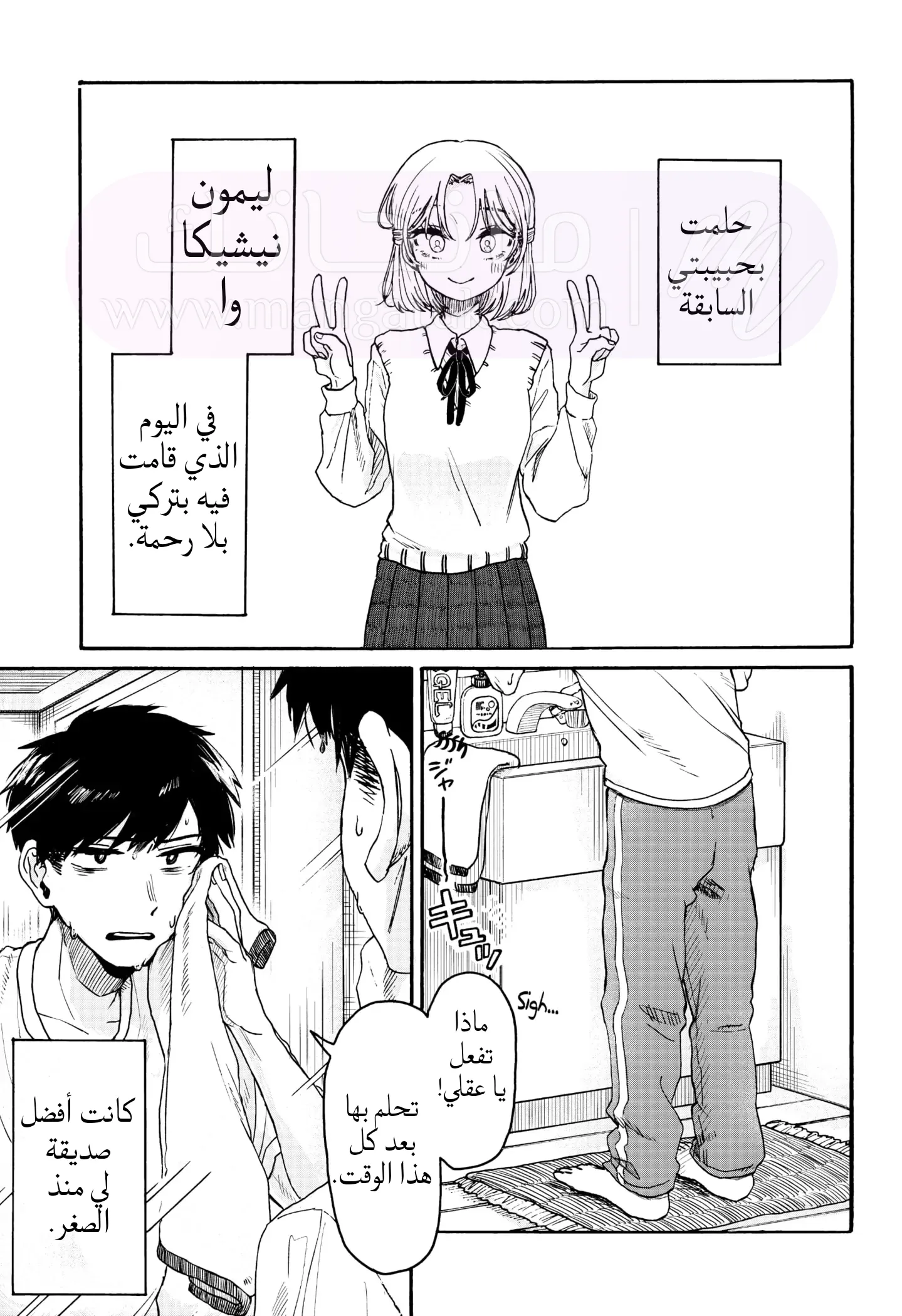 الصفحة 3