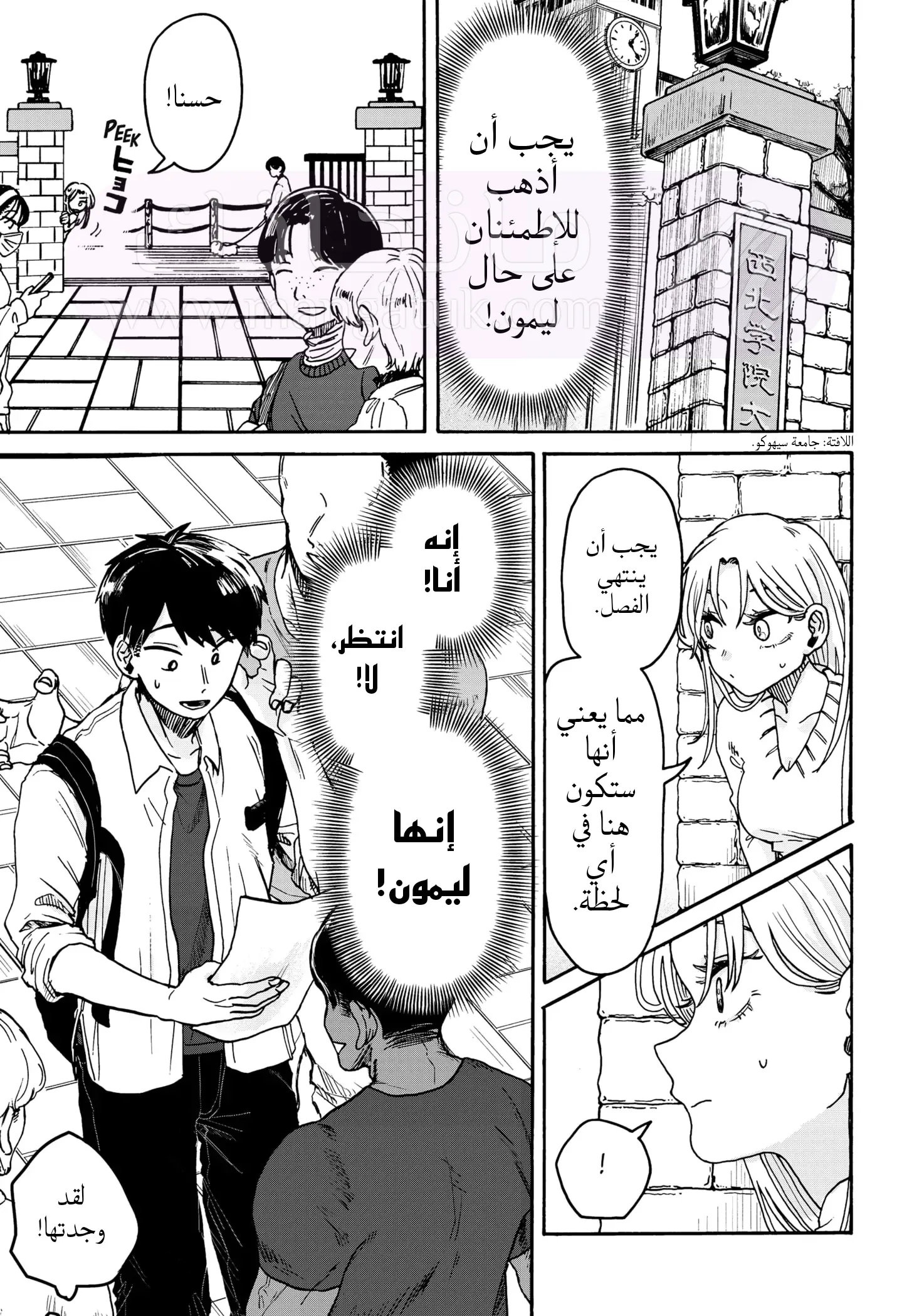 الصفحة 43