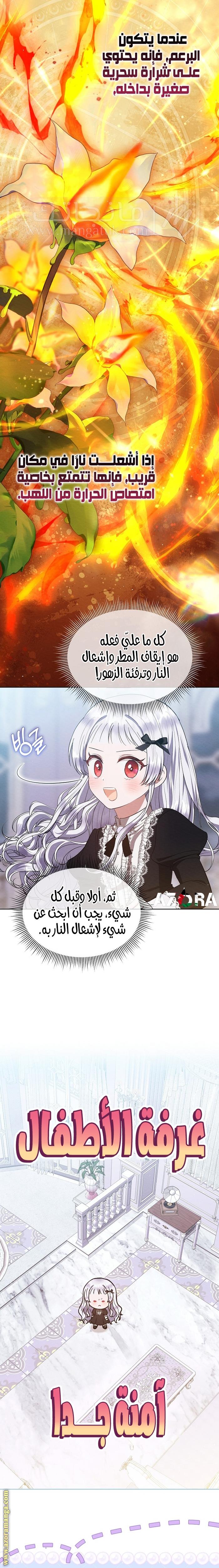 الصفحة 13