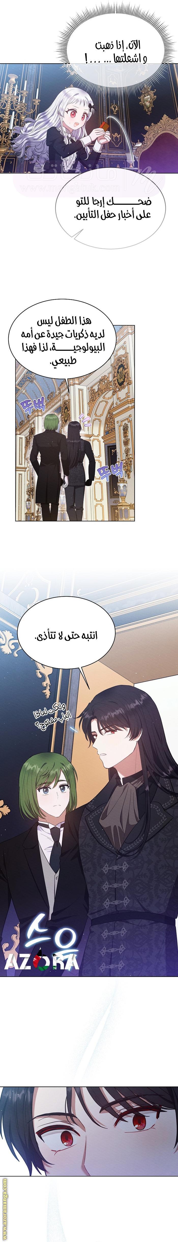 الصفحة 17