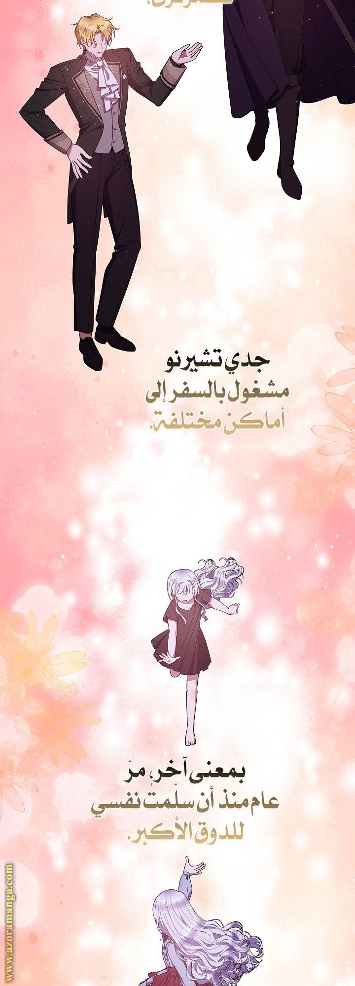 الصفحة 41