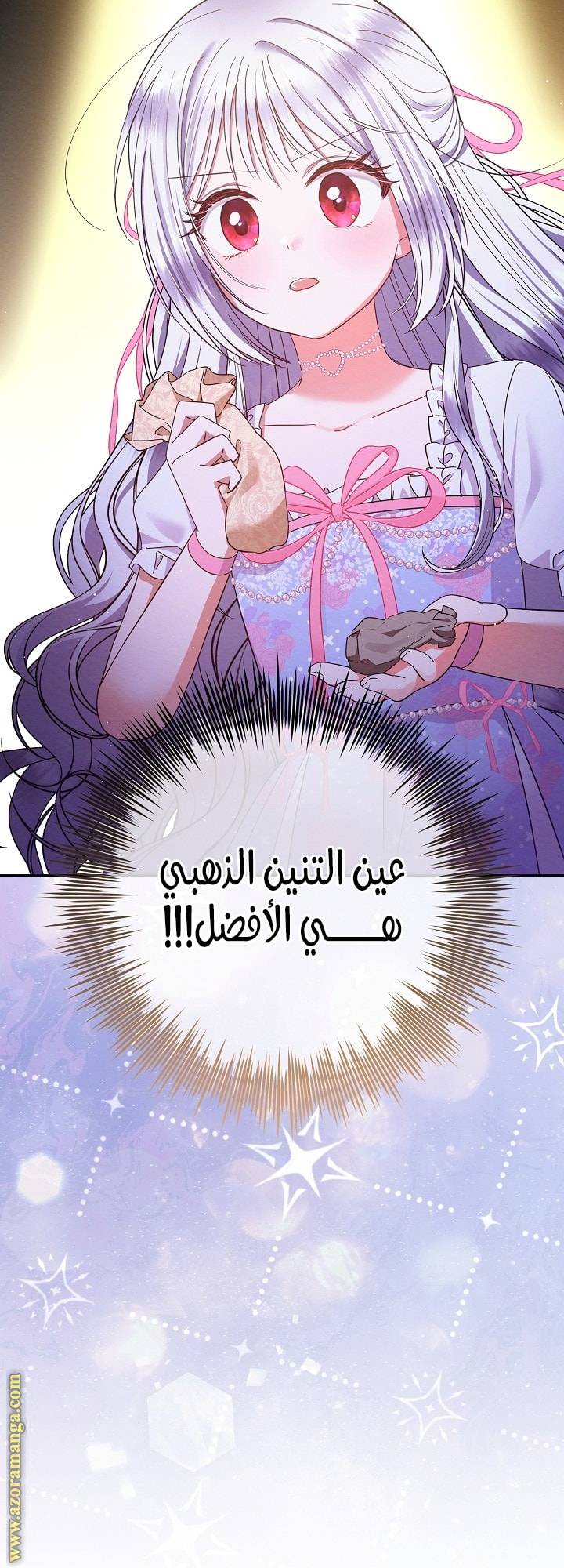 الصفحة 31