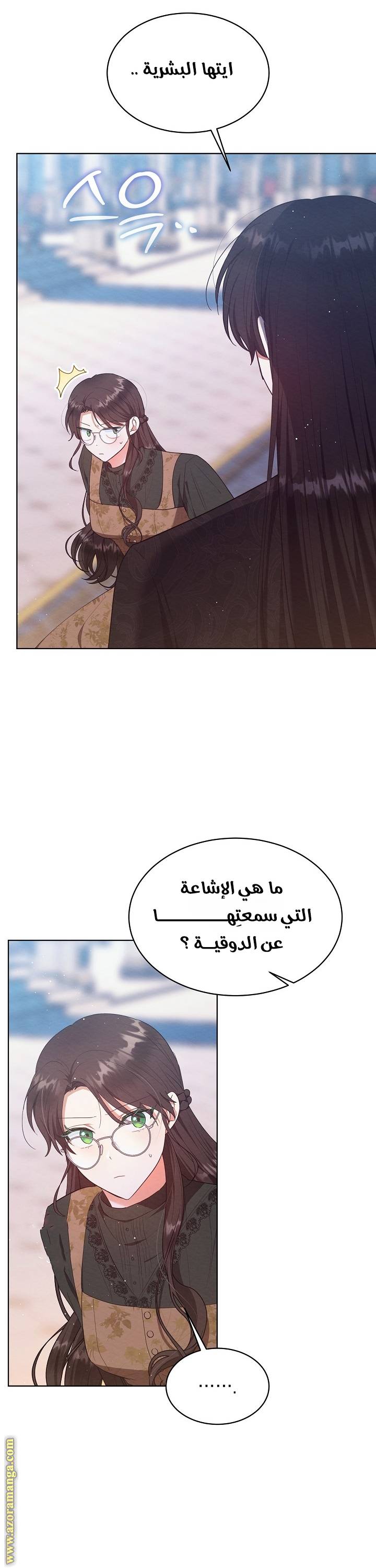الصفحة 17